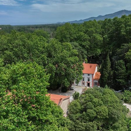 Domaine Castell De Bles Bed & Breakfast Saint-Genis-des-Fontaines Exterior photo
