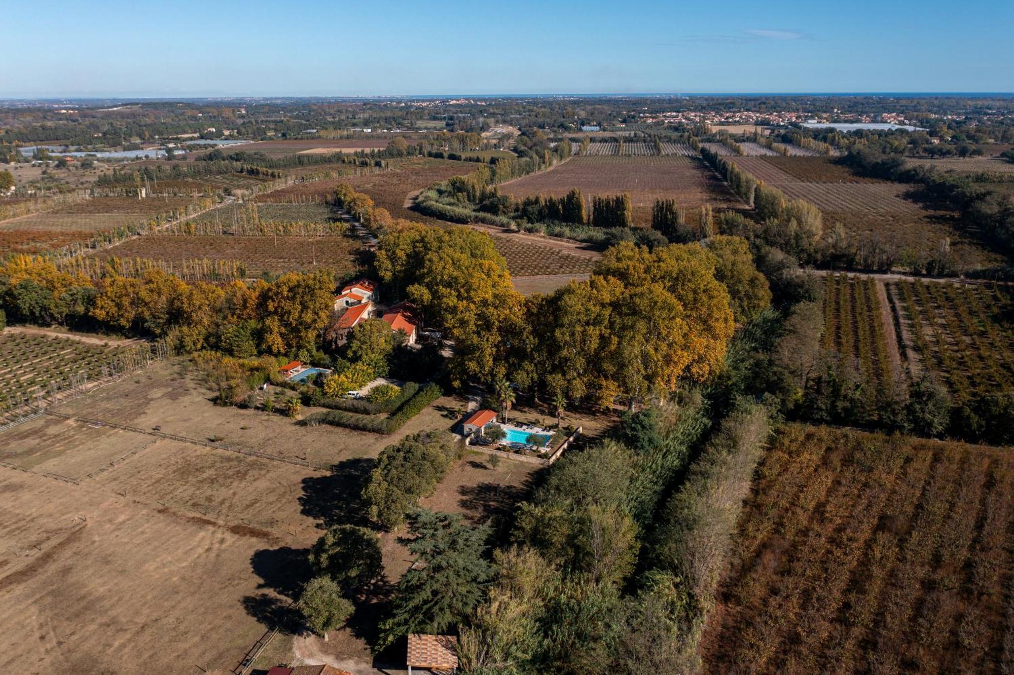 Domaine Castell De Bles Bed & Breakfast Saint-Genis-des-Fontaines Exterior photo