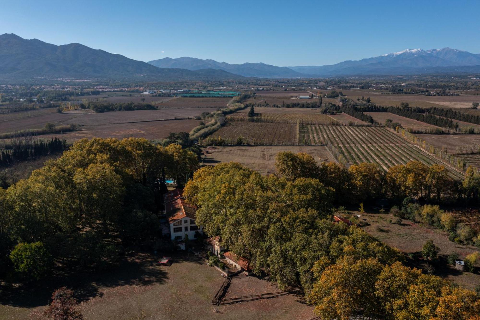 Domaine Castell De Bles Bed & Breakfast Saint-Genis-des-Fontaines Exterior photo
