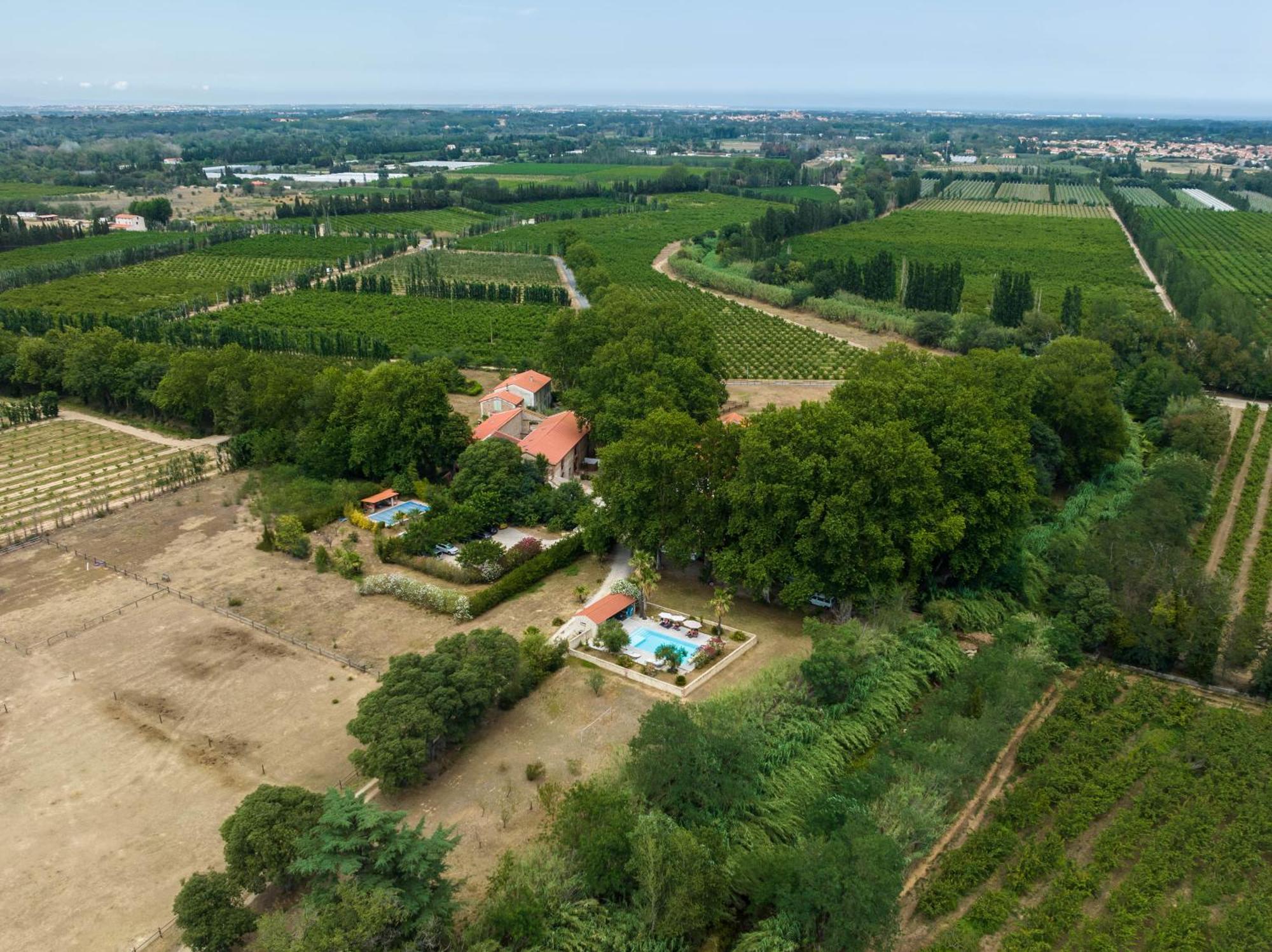 Domaine Castell De Bles Bed & Breakfast Saint-Genis-des-Fontaines Exterior photo